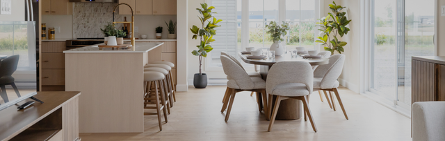 Chaises de cuisine et salle à manger