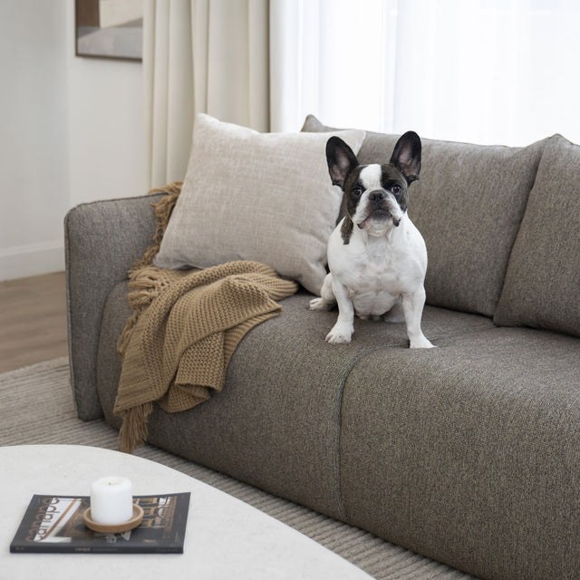 Davis Sofa - Macadamia Fabric