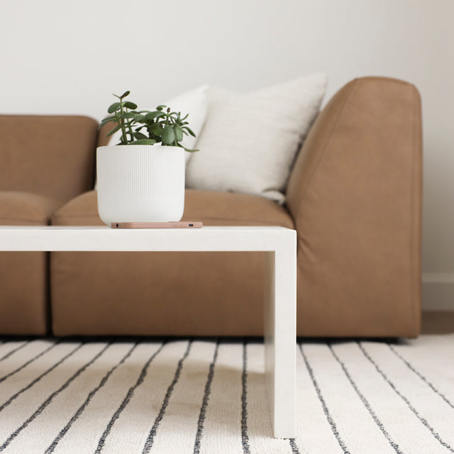 Coin de table basse blanche avec plante verte devant canape en cuir brun.